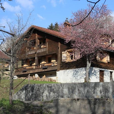Sous Les Ecotagnes Villa Les Villards-sur-Thônes Eksteriør bilde