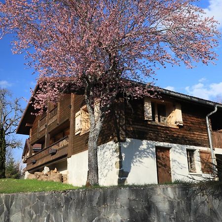 Sous Les Ecotagnes Villa Les Villards-sur-Thônes Eksteriør bilde