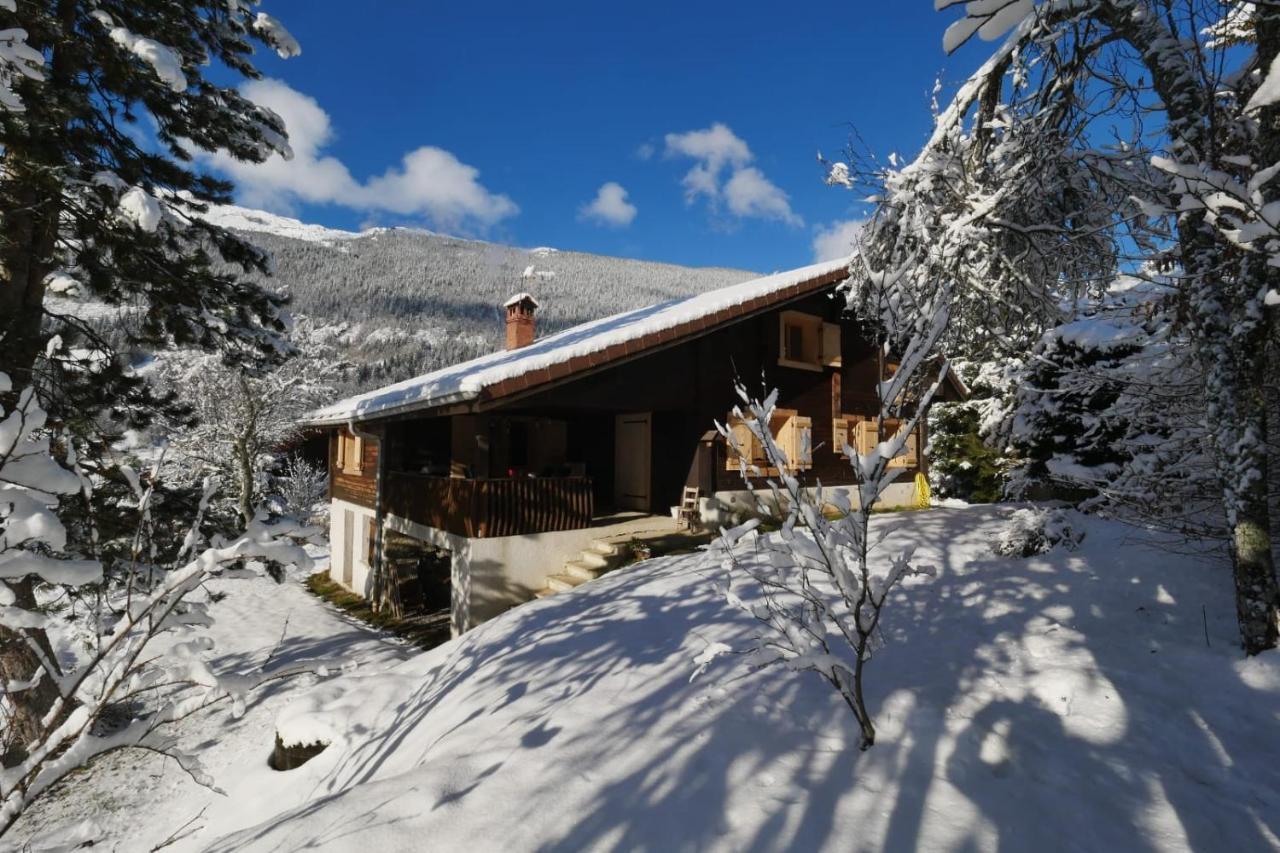 Sous Les Ecotagnes Villa Les Villards-sur-Thônes Eksteriør bilde