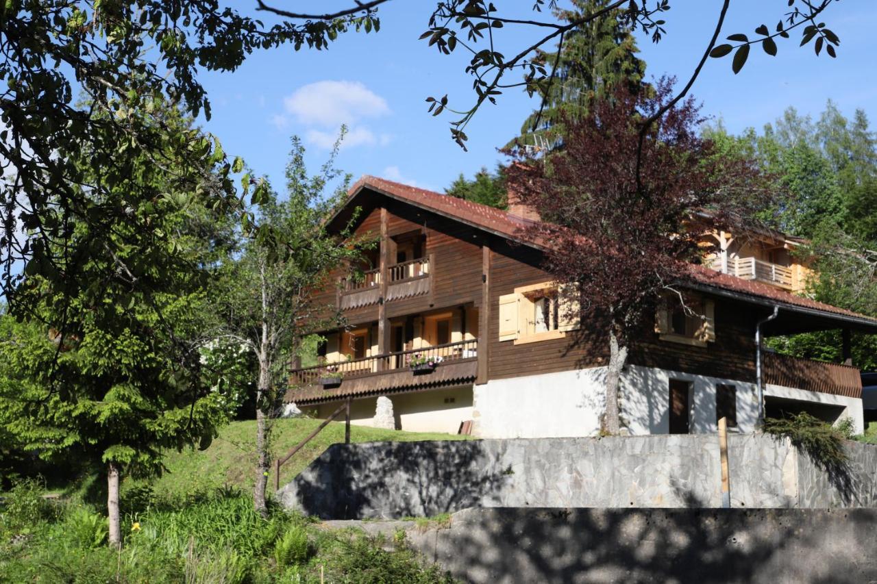 Sous Les Ecotagnes Villa Les Villards-sur-Thônes Eksteriør bilde