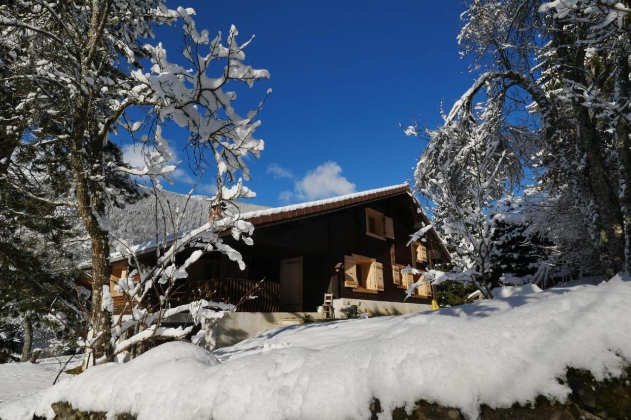 Sous Les Ecotagnes Villa Les Villards-sur-Thônes Eksteriør bilde